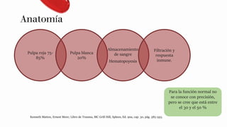Pulpa roja 75-
85%
Pulpa blanca
20%
Almacenamiento
de sangre
Hematopoyesis
Filtración y
respuesta
inmune.
Anatomía
Kenneth Mattox, Ernest More; Libro de Trauma, MC Grill Hill, Spleen, Ed. 9na, cap. 30, pág. 585-593.
Para la función normal no
se conoce con precisión,
pero se cree que está entre
el 30 y el 50 %
 