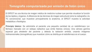 Traumatology generalidades anatomia, partes etc | PDF