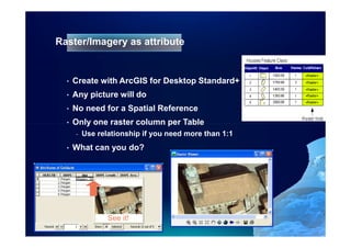 Using Imagery in ArcGIS | PDF