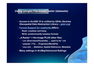 Using Imagery in ArcGIS | PDF