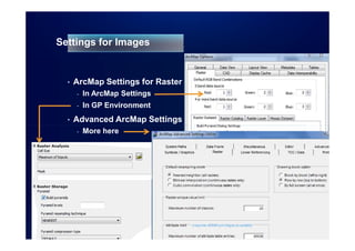 Using Imagery in ArcGIS | PDF