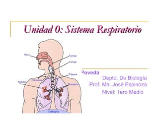 Unidad 0: Sistema Respiratorio Liceo  San Pedro Poveda   Depto. De Biología Prof. Ma. José Espinoza Nivel: 1ero Medio   