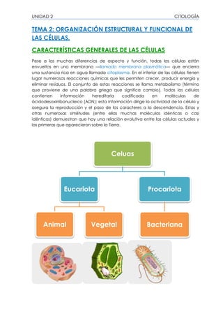 UNIDAD 2 CITOLOGÍA
TEMA 2: ORGANIZACIÓN ESTRUCTURAL Y FUNCIONAL DE
LAS CÉLULAS.
CARACTERÍSTICAS GENERALES DE LAS CÉLULAS
Pese a las muchas diferencias de aspecto y función, todas las células están
envueltas en una membrana —llamada membrana plasmática— que encierra
una sustancia rica en agua llamada citoplasma. En el interior de las células tienen
lugar numerosas reacciones químicas que les permiten crecer, producir energía y
eliminar residuos. El conjunto de estas reacciones se llama metabolismo (término
que proviene de una palabra griega que significa cambio). Todas las células
contienen información hereditaria codificada en moléculas de
ácidodesoxirribonucleico (ADN); esta información dirige la actividad de la célula y
asegura la reproducción y el paso de los caracteres a la descendencia. Estas y
otras numerosas similitudes (entre ellas muchas moléculas idénticas o casi
idénticas) demuestran que hay una relación evolutiva entre las células actuales y
las primeras que aparecieron sobre la Tierra.
Celuas
Eucariota
Animal Vegetal
Procariota
Bacteriana
 