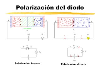 Polarización del diodo
Polarización inversa Polarización directa
 