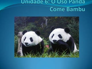 Unidade 6: O Oso Panda Come Bambu 