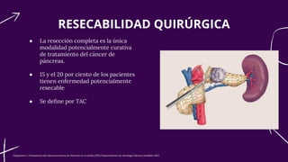 Copia de World Pancreatic Cancer Day by Slidesgo_.pdf