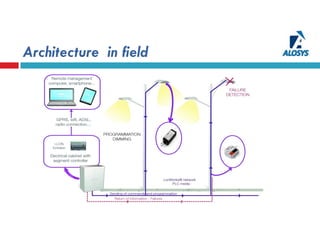 Architecture in field
 