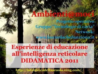 Esperienze di educazione
all'intelligenza reticolare
    DIDAMATICA 2011
 http://lafabbricadellascuola.ning.com/
 