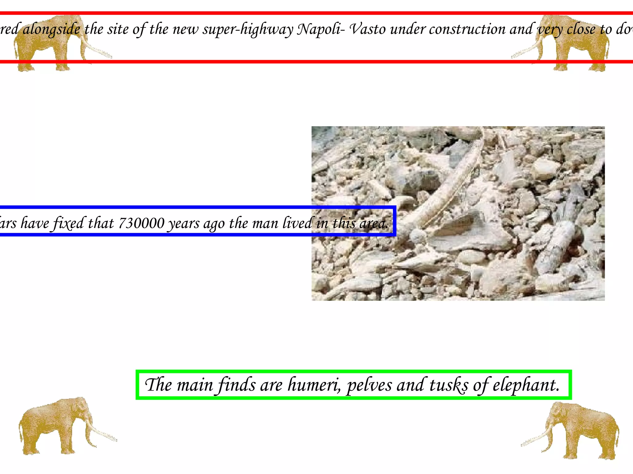 It was May 1979, when a photographer, Alberto Solinas, vacationing in the Molise area, accidentally discovered alongside the site of the new super-highway Napoli- Vasto under construction and very close to downtown Isernia, what has been claimed Europe's most important palae-anthropological discovery. Through the escavations, the scholars have fixed that 730000 years ago the man lived in this area. The main finds are humeri, pelves and tusks of elephant.  