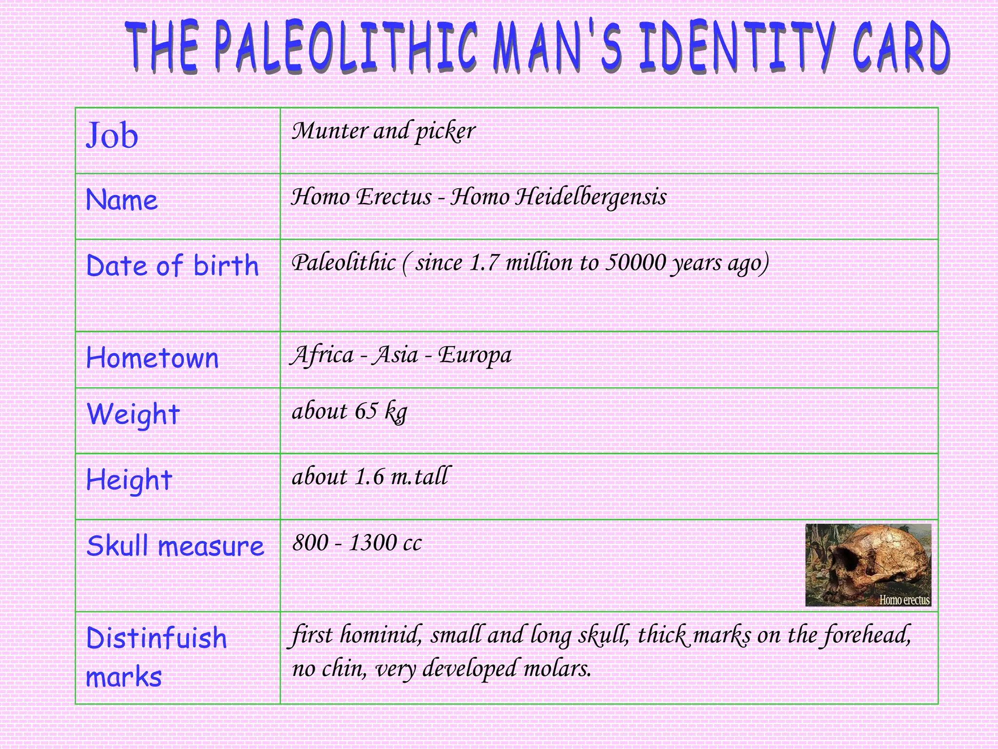 Job   Munter and picker Name Homo Erectus - Homo Heidelbergensis  Date of birth Paleolithic ( since 1.7 million to 50000 years ago) Hometown  Africa - Asia - Europa Weight about 65 kg Height about 1.6 m.tall Skull measure 800 - 1300 cc Distinfuish marks first hominid, small and long skull, thick marks on the forehead, no chin, very developed molars. THE PALEOLITHIC MAN'S IDENTITY CARD 