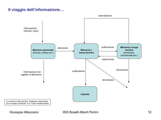 Il viaggio dell’informazione…
esercitazione

Informazione
(stimolo, input)

Memoria sensoriale
(iconica, uditiva ecc.)

attenzione

codificazione
Memoria a
breve termine

Memoria a lungo
termine
(semantica,
procedurale,ecc.)

reperimento

Informazione non
oggetto di attenzione

dimenticare

codificazione

dimenticare

risposta
Lo schema è tratto dal libro “Insegnare e apprendere
con le mappe concettuali” di H. Forte immedia editore

Giuseppe Albezzano

IISS Boselli Alberti Pertini

12

 