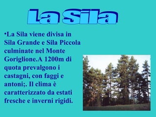 La Sila viene divisa in Sila Grande e Sila Piccola culminate nel Monte Goriglione.A 1200m di quota prevalgono i castagni, con faggi e antoni;. Il clima è caratterizzato da estati fresche e inverni rigidi. La Sila 