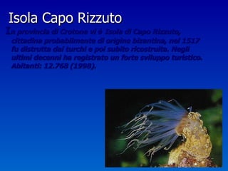 Isola Capo Rizzuto I n provincia di Crotone vi è   Isola di Capo Rizzuto, cittadina probabilmente di origine bizantina, nel 1517 fu distrutta dai turchi e poi subito ricostruita. Negli ultimi decenni ha registrato un forte sviluppo turistico. Abitanti: 12.768 (1998). 