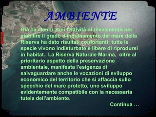 AMBIENTE Già da alcuni anni l'attività di rilevamento per stabilire il grado d'inquinamento del mare della Riserva ha dato risultati confortanti: tutte le specie vivono indisturbate e libere di riprodursi in habitat.. La Riserva Naturale Marina,  oltre al prioritario aspetto della preservazione ambientale, manifesta l'esigenza di salvaguardare anche le vocazioni di sviluppo economico del territorio che si affaccia sullo specchio del mare protetto, uno sviluppo evidentemente compatibile con la necessaria tutela dell'ambiente. Continua … 