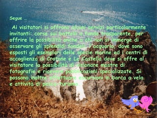 Segue … Ai visitatori si offrono alcuni servizi particolarmente invitanti: corse sui battelli a fondo trasparente, per offrire la possibilità anche a chi non si immerge di osservare gli splendidi fondali; l'acquario, dove sono esposti gli esemplari delle specie marine ed i centri di accoglienza di Crotone e Le Castella dove si offre al visitatore la possibilità di visionare mostre di fotografie e ricevere pubblicazioni specializzate. Si possono inoltre effettuare escursioni in barca a vela e attività di pesca-turismo.  