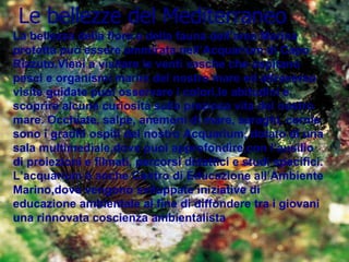 Le bellezze del Mediterraneo La bellezza della flora e della fauna dell’area Marina protetta può essere ammirata nell’Acquarium di Capo Rizzuto.Vieni a visitare le venti vasche che ospitano pesci e organismi marini del nostro mare ed attraverso visite guidate puoi osservare i colori,le abitudini e scoprire alcune curiosità sulla preziosa vita del nostro mare. Occhiate, salpe, anemoni di mare, saraghi, cernie sono i graditi ospiti del nostro Acquarium, dotato di una sala multimediale,dove puoi approfondire,con l’ausilio di proiezioni e filmati, percorsi didattici e studi specifici. L’acquarium è anche Centro di Educazione all’Ambiente Marino,dove vengono sviluppate iniziative di educazione ambientale al fine di diffondere tra i giovani una rinnovata coscienza ambientalista  