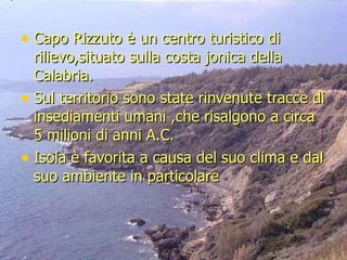 Capo Rizzuto è un centro turistico di rilievo,situato sulla costa jonica della Calabria. Sul territorio sono state rinvenute tracce di insediamenti umani ,che risalgono a circa 5 milioni di anni A.C. Isola è favorita a causa del suo clima e dal suo ambiente in particolare  