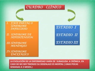 CUADRO CLÍNICO



I.   FASE INICIAL O
     SÍNDROME
     INFECCIOSO
                                          ESTADIO I

II. SINDROME DE                           ESTADIO II
    HIPERTENSIÓN.

III. SÍNDROME                             ESTADIO III
     MENÍNGEO

IV. SÍNDROME
    ENCEFÁLICO

     LA EVOLUCIÓN DE LA ENFERMEDAD VARÍA DE SUBAGUDA A CRÓNICA. EN
     CASO DE NO SER TRATADO SU DESENLACE ES MORTAL ( UNAS POCAS
     SEMANAS A 3 MESES.)
 