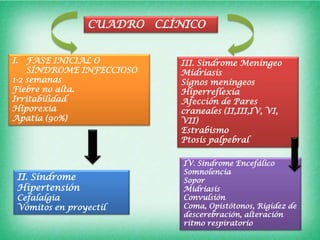 CUADRO CLÍNICO


I.  FASE INICIAL O         III. Síndrome Meníngeo
    SÍNDROME INFECCIOSO    Midriasis
1-2 semanas                Signos meníngeos
Fiebre no alta.            Hiperreflexia
Irritabilidad              Afección de Pares
Hiporexia                  craneales (II,III,IV, VI,
Apatía (90%)               VII)
                           Estrabismo
                           Ptosis palpebral

                           IV. Síndrome Encefálico
                           Somnolencia
 II. Síndrome              Sopor
 Hipertensión              Midriasis
 Cefalalgia                Convulsión
 Vómitos en proyectíl      Coma, Opistótonos, Rigidez de
                           descerebración, alteración
                           ritmo respiratorio
 