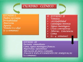 CUADRO CLÍNICO


ESTADIO I.                         II.   ESTADIO II
Fiebre terciana                         Vómitos
Irritabilidad                           >irritabilidad
Anorexia                                Cefalalgia intensa
Apatía                                  Signos meníngeos
Vómito (1-2 día)                        Crisis convulsivas
(2 -3 semanas)                          Alterac. Conciencia
                                        Coma
                                        (2 – 4 semanas)

                   ESTADIO III
                   Paciente somnoliento
                   Coma, signos meníngeos francos.
                   Hipertonía. Opistótonos
                   Afectación de pares craneales
                   FALLECE ENCLAVAMIENTO DE AMIGDALAS
                   (1-2 semanas)
 