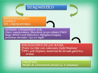 DIAGNÓSTICO


EPIDEMIOLÓGICO.
CLÍNICO
DE LABORATORIO.

ESTUDIO CITOQUÍMICO LCR.
Claro- xantocrómico, Pleocitosis (4-200 células) PMN
luego MNN (>50% linfocitos), Hipoglucorraquia,
proteínas elevadas ( 140-170 mg%)


             BACILOSCOPIA DE LOS BAAR.
             Frotis (se tiñe con colarante Ziehl-Neelsen)
             VPP+ 95% (Esputo, material de lavado gástrico,
                orina)


              CULTIVOS.
              Medio de Löwenstein-Jensen (4- 6 semanas)
 