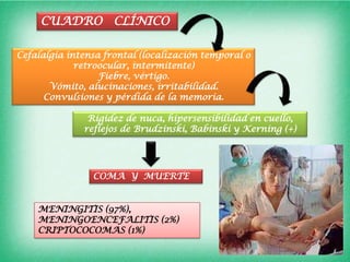 CUADRO CLÍNICO

Cefalalgia intensa frontal (localización temporal o
             retroocular, intermitente)
                  Fiebre, vértigo.
       Vómito, alucinaciones, irritabilidad.
      Convulsiones y pérdida de la memoria.

               Rigidez de nuca, hipersensibilidad en cuello,
              reflejos de Brudzinski, Babinski y Kerning (+)




                COMA Y MUERTE


    MENINGITIS (97%),
    MENINGOENCEFALITIS (2%)
    CRIPTOCOCOMAS (1%)
 