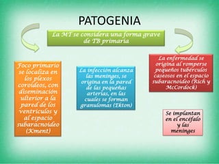 PATOGENIA
            La MT se considera una forma grave
                      de TB primaria


                                              La enfermedad se
Foco primario                                origina al romperse
 se localiza en     La infección alcanza     pequeños tubérculos
                       las meninges, se     caseosos en el espacio
   los plexos
                     origina en la pared   subaracnoideo (Rich y
coroideos, con         de las pequeñas           McCordock)
 diseminación           arterias, en las
  ulterior a la       cuales se forman
  pared de los      granulomas (Ekton)
 ventrículos y                                   Se implantan
   al espacio                                    en el encéfalo
subaracnoideo                                         y las
    (Kment)                                        meninges
 
