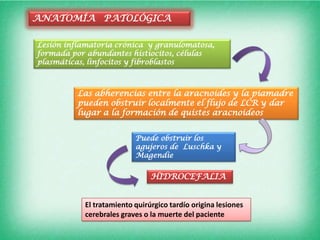 ANATOMÍA PATOLÓGICA

Lesión inflamatoria crónica y granulomatosa,
formada por abundantes histiocitos, células
plasmáticas, linfocitos y fibroblastos



          Las abherencias entre la aracnoides y la piamadre
          pueden obstruir localmente el flujo de LCR y dar
          lugar a la formación de quistes aracnoideos


                          Puede obstruir los
                          agujeros de Luschka y
                          Magendie


                               HIDROCEFALIA


           El tratamiento quirúrgico tardío origina lesiones
           cerebrales graves o la muerte del paciente
 