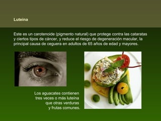 Luteína
Este es un carotenoide (pigmento natural) que protege contra las cataratas
y ciertos tipos de cáncer, y reduce el riesgo de degeneración macular, la
principal causa de ceguera en adultos de 65 años de edad y mayores.

Los aguacates contienen
tres veces o más luteína
que otras verduras
y frutas comunes.

 