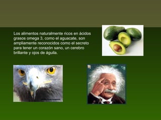 Los alimentos naturalmente ricos en ácidos
grasos omega 3, como el aguacate, son
ampliamente reconocidos como el secreto
para tener un corazón sano, un cerebro
brillante y ojos de águila.

 