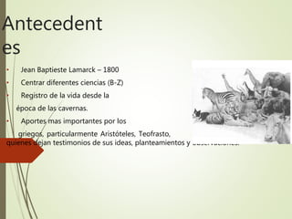 Antecedent
es
• Jean Baptieste Lamarck – 1800
• Centrar diferentes ciencias (B-Z)
• Registro de la vida desde la
época de las cavernas.
• Aportes mas importantes por los
griegos, particularmente Aristóteles, Teofrasto, Galeno e Hipócrates
quienes dejan testimonios de sus ideas, planteamientos y observaciones.
 