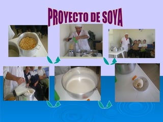 PROYECTO DE SOYA 