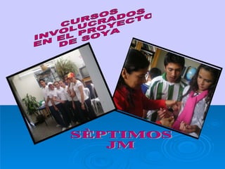 CURSOS  INVOLUCRADOS EN EL PROYECTO DE SOYA SÈPTIMOS  JM 