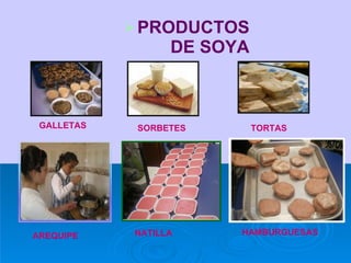 PRODUCTOS DE SOYA GALLETAS SORBETES TORTAS AREQUIPE NATILLA HAMBURGUESAS 