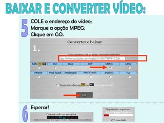 COLE o endereço do vídeo;
Marque a opção MPEG;
Clique em GO.
Esperar!
 