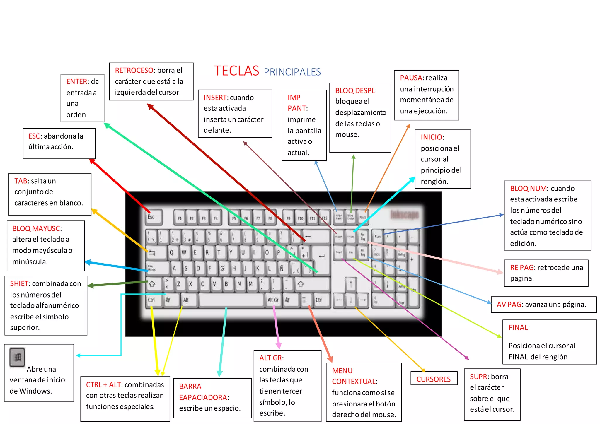 TECLAS PRINCIPALES
ESC: abandonala
últimaacción.
RETROCESO: borra el
carácter que está a la
izquierdadel cursor.
TAB: saltaun
conjuntode
caracteresen blanco.
INSERT:cuando
estaactivada
insertauncarácter
delante.
BLOQ MAYUSC:
alterael tecladoa
modomayúsculao
minúscula.
SHIET: combinadacon
losnúmerosdel
tecladoalfanumérico
escribe el símbolo
superior.
CTRL + ALT: combinadas
con otras teclasrealizan
funcionesespeciales.
BARRA
EAPACIADORA:
escribe unespacio.
ALT GR:
combinadacon
lasteclasque
tienentercer
símbolo,lo
escribe.
MENU
CONTEXTUAL:
funcionacomosi se
presionarael botón
derechodel mouse.
CURSORES
FINAL:
Posicionael cursoral
FINAL del renglón
AV PAG: avanzauna página.
RE PAG: retrocede una
pagina.
ENTER: da
entradaa
una
orden
Abre una
ventanade inicio
de Windows.
IMP
PANT:
imprime
la pantalla
activao
actual.
BLOQ DESPL:
bloqueael
desplazamiento
de las teclaso
mouse.
PAUSA:realiza
una interrupción
momentáneade
una ejecución.
INICIO:
posicionael
cursor al
principiodel
renglón.
SUPR: borra
el carácter
sobre el que
estáel cursor.
BLOQ NUM: cuando
estaactivada escribe
losnúmerosdel
tecladonuméricosino
actúa como tecladode
edición.