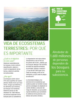 VIDA DE
ECOSISTEMAS
TERRESTRES
VIDA DE ECOSISTEMAS
TERRESTRES: POR QUÉ
ES IMPORTANTE
¿Cuál es el objetivo
en este caso?
Gestionar sosteniblemente
los bosques, luchar contra la
desertificación, detener e
invertir la degradación de las
tierras y detener la pérdida
de biodiversidad.
La degradación de la tierra afecta
directamente a casi el 75% de
los pobres del mundo. ¿Sabías que
los bosques albergan más del 80%
de todas las especies terrestres
de animales, plantas e insectos?
¿Y que de las 8.300 razas cono-
cidas de animales, el 8% se ha
extinguido y el 22% está en peligro
de extinción?
¿Por qué?
Los bosques cubren casi el
31% de la superficie de nuestro
planeta. Desde el aire que respi-
ramos, al agua que bebemos y
los alimentos que comemos,
los bosques nos mantienen.
Debemos pensar en ello.
Alrededor de 1.600 millones
de personas dependen de los
bosques para su subsistencia.
La diversidad biológica y los
servicios de los ecosistemas que
sostiene pueden ser también la base
para las estrategias de adaptación al
cambio climático y reducción del
riesgo de desastres, ya que pueden
reportar beneficios que aumentarán
la resiliencia de las personas a los
efectos del cambio climático.
Alrededor de
1.600 millones
de personas
dependen de
los bosques
para su
subsistencia.
 