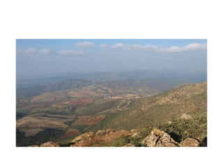 دراسة عامة حول بلدية فلاوسن - Copie.pptx