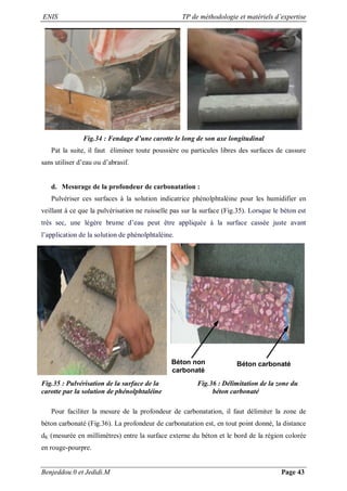 ENIS TP de méthodologie et matériels d’expertise
Benjeddou.0 et Jedidi.M Page 43
Fig.34 : Fendage d’une carotte le long de son axe longitudinal
Pat la suite, il faut éliminer toute poussière ou particules libres des surfaces de cassure
sans utiliser d’eau ou d’abrasif.
d. Mesurage de la profondeur de carbonatation :
Pulvériser ces surfaces à la solution indicatrice phénolphtaléine pour les humidifier en
veillant à ce que la pulvérisation ne ruisselle pas sur la surface (Fig.35). Lorsque le béton est
très sec, une légère brume d’eau peut être appliquée à la surface cassée juste avant
l’application de la solution de phénolphtaléine.
Béton non
carbonaté
Béton carbonaté
Fig.35 : Pulvérisation de la surface de la Fig.36 : Délimitation de la zone du
carotte par la solution de phénolphtaléine béton carbonaté
Pour faciliter la mesure de la profondeur de carbonatation, il faut délimiter la zone de
béton carbonaté (Fig.36). La profondeur de carbonatation est, en tout point donné, la distance
dK (mesurée en millimètres) entre la surface externe du béton et le bord de la région colorée
en rouge-pourpre.
 
