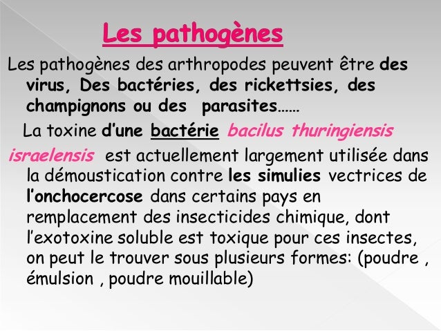 Il ny a pas de parasites le site
