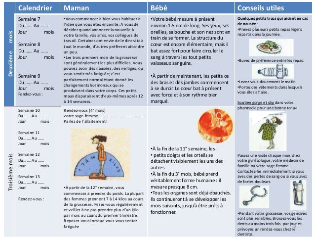 Calendrier De Grossesse Calendrier De Grossesse
