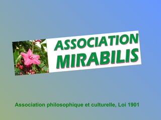 Association philosophique et culturelle, Loi 1901 