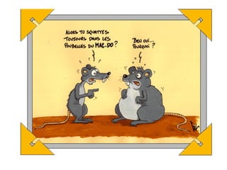 Copie De Drole Pas Tjs