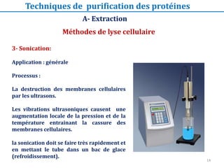 3- Sonication:
Application : générale
Processus :
La destruction des membranes cellulaires
par les ultrasons.
Les vibrations ultrasoniques causent une
augmentation locale de la pression et de la
température entrainant la cassure des
membranes cellulaires.
la sonication doit se faire très rapidement et
en mettant le tube dans un bac de glace
(refroidissement).
Méthodes de lyse cellulaire
A- Extraction
Techniques de purification des protéines
14
 