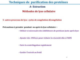 Méthodes de lyse cellulaire
A- Extraction
Techniques de purification des protéines
16
5- autres processus de lyse : cycles de congélation-décongélation
Précautions à prendre pendant ou après la lyse cellulaire :
- Utiliser si nécessaire des inhibiteurs de protéase juste après lyse
- Ajouter des DNAses pour réduire la viscosité dûe à l’ADN
- Faire la centrifugation rapidement
- Garder l’extrait au froid
 