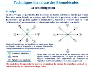 18
Forces s’exerçant sur une particule en suspension dans un
liquide soumis à centrifugation. La force de gravité et la
poussée d’Archimède sont augmentées au contraire de
l’agitation moléculaire, et elle ne sont plus négligeables
Forces s’exerçant sur une particule en suspension dans
un liquide. La force de gravité et la poussée d’Archimède
sont faible comparées à l’agitation moléculaire
Poussé d’Archimèdes
Gravité
Agitation moléculaire
On peut donc d’augmenter le pouvoir séparateur du champ de pesanteur vertical en
lui substituant un champ centrifuge radial.
On observe que les particules des molécules ou toutes substances solide qui repose
dans une phase liquide, se trouvant sous l'action de la pesanteur et de la poussée
d'Archimède (et parfois agitation moléculaire), tendent à tomber vers le fond
(sédimentation) ou à remonter vers la surface, selon leur densité et leur taille.
Principe
Techniques d’analyse des Biomolécules
La centrifugation
 
