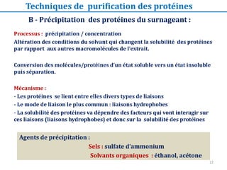 Processus : précipitation / concentration
Altération des conditions du solvant qui changent la solubilité des protéines
par rapport aux autres macromolécules de l’extrait.
Conversion des molécules/protéines d’un état soluble vers un état insoluble
puis séparation.
Mécanisme :
- Les protéines se lient entre elles divers types de liaisons
- Le mode de liaison le plus commun : liaisons hydrophobes
- La solubilité des protéines va dépendre des facteurs qui vont interagir sur
ces liaisons (liaisons hydrophobes) et donc sur la solubilité des protéines
B - Précipitation des protéines du surnageant :
Agents de précipitation :
Sels : sulfate d’ammonium
Solvants organiques : éthanol, acétone
Techniques de purification des protéines
22
 