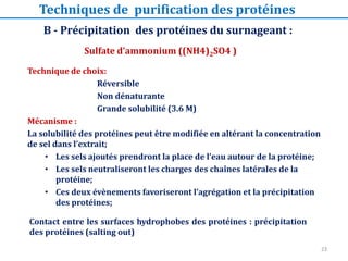 B - Précipitation des protéines du surnageant :
Technique de choix:
Réversible
Non dénaturante
Grande solubilité (3.6 M)
Mécanisme :
La solubilité des protéines peut être modifiée en altérant la concentration
de sel dans l’extrait;
• Les sels ajoutés prendront la place de l’eau autour de la protéine;
• Les sels neutraliseront les charges des chaînes latérales de la
protéine;
• Ces deux évènements favoriseront l’agrégation et la précipitation
des protéines;
Sulfate d’ammonium ((NH4)2SO4 )
Contact entre les surfaces hydrophobes des protéines : précipitation
des protéines (salting out)
Techniques de purification des protéines
23
 