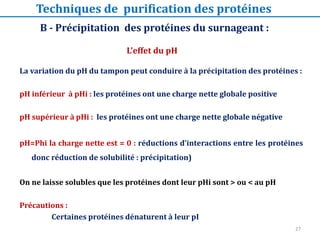 La variation du pH du tampon peut conduire à la précipitation des protéines :
pH inférieur à pHi : les protéines ont une charge nette globale positive
pH supérieur à pHi : les protéines ont une charge nette globale négative
pH=Phi la charge nette est = 0 : réductions d’interactions entre les protéines
donc réduction de solubilité : précipitation)
On ne laisse solubles que les protéines dont leur pHi sont > ou < au pH
Précautions :
Certaines protéines dénaturent à leur pI
B - Précipitation des protéines du surnageant :
L’effet du pH
Techniques de purification des protéines
27
 