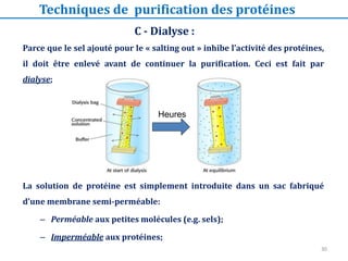 C - Dialyse :
Parce que le sel ajouté pour le « salting out » inhibe l’activité des protéines,
il doit être enlevé avant de continuer la purification. Ceci est fait par
dialyse;
La solution de protéine est simplement introduite dans un sac fabriqué
d’une membrane semi-perméable:
– Perméable aux petites molécules (e.g. sels);
– Imperméable aux protéines;
Heures
Techniques de purification des protéines
30
 